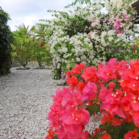 Pension Tiputa Lodge Rangiroa Exteriör bild