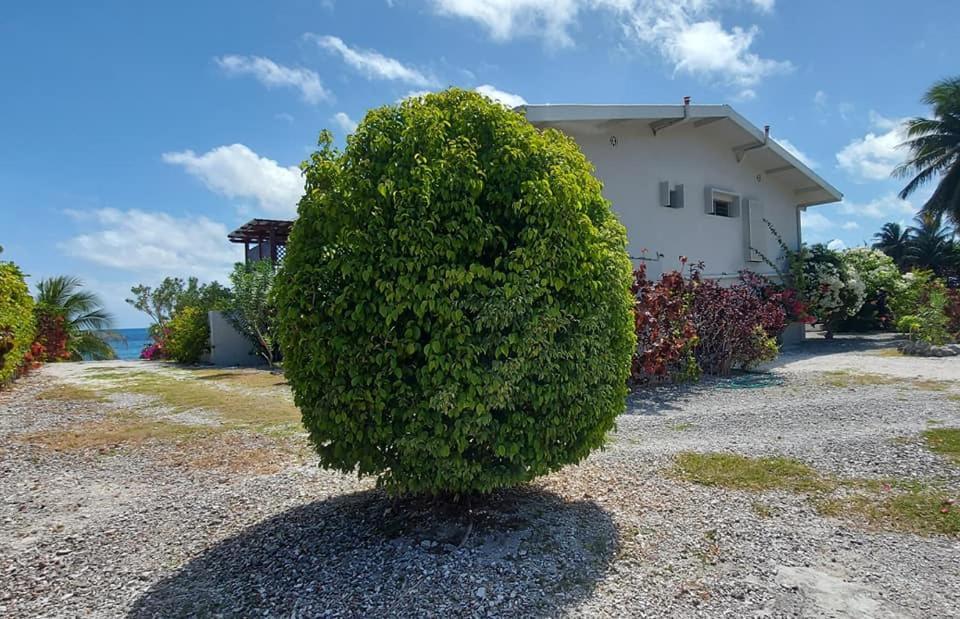Pension Tiputa Lodge Rangiroa Exteriör bild