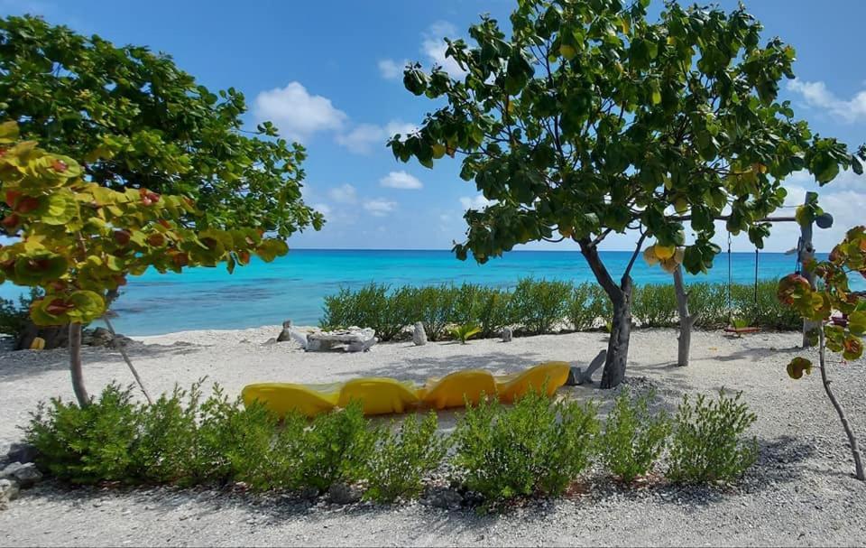 Pension Tiputa Lodge Rangiroa Exteriör bild