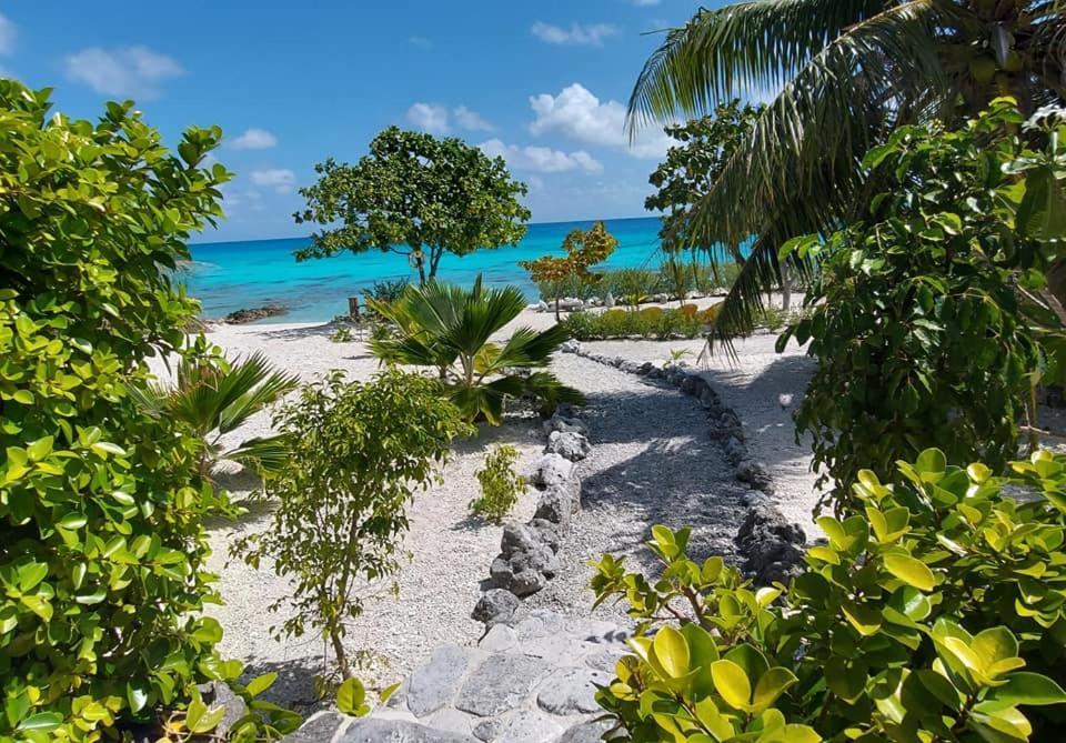 Pension Tiputa Lodge Rangiroa Exteriör bild