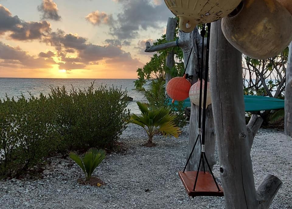Pension Tiputa Lodge Rangiroa Exteriör bild