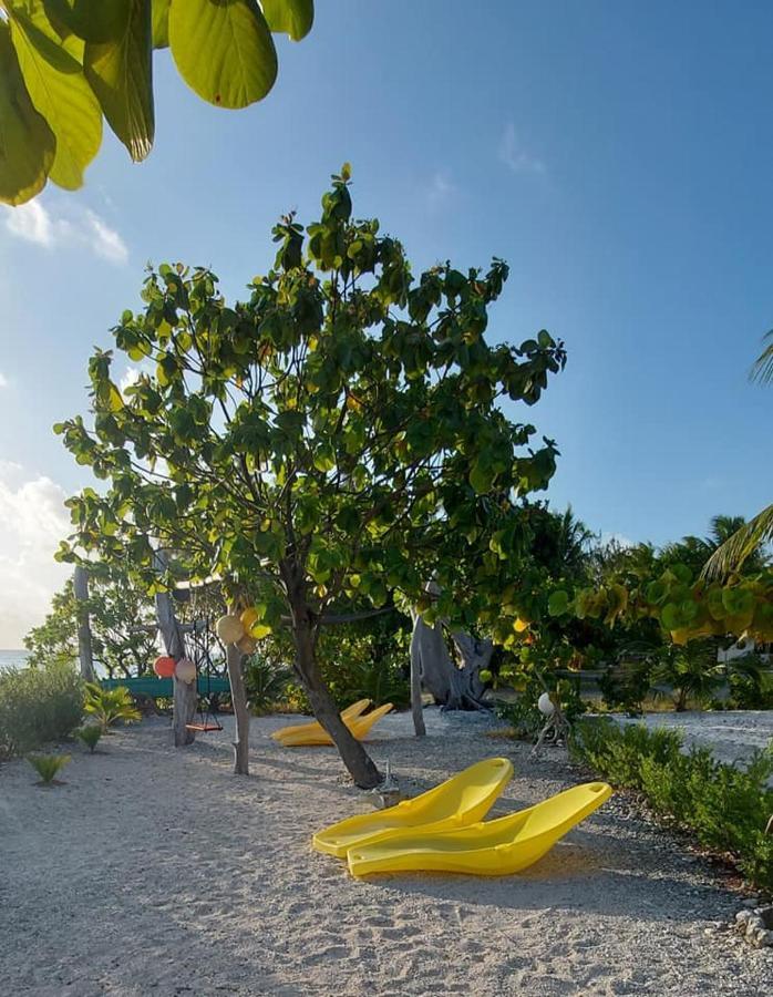 Pension Tiputa Lodge Rangiroa Exteriör bild