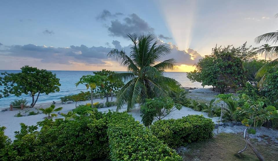 Pension Tiputa Lodge Rangiroa Exteriör bild
