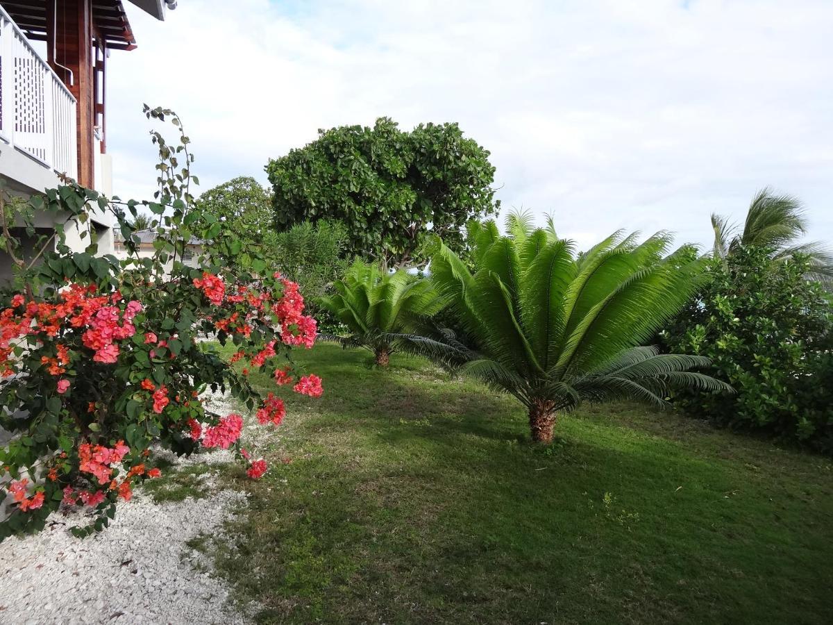 Pension Tiputa Lodge Rangiroa Exteriör bild