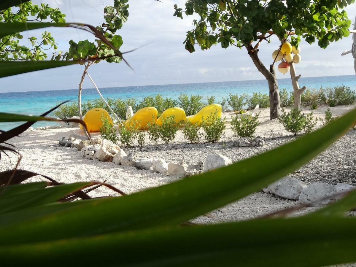 Pension Tiputa Lodge Rangiroa Exteriör bild