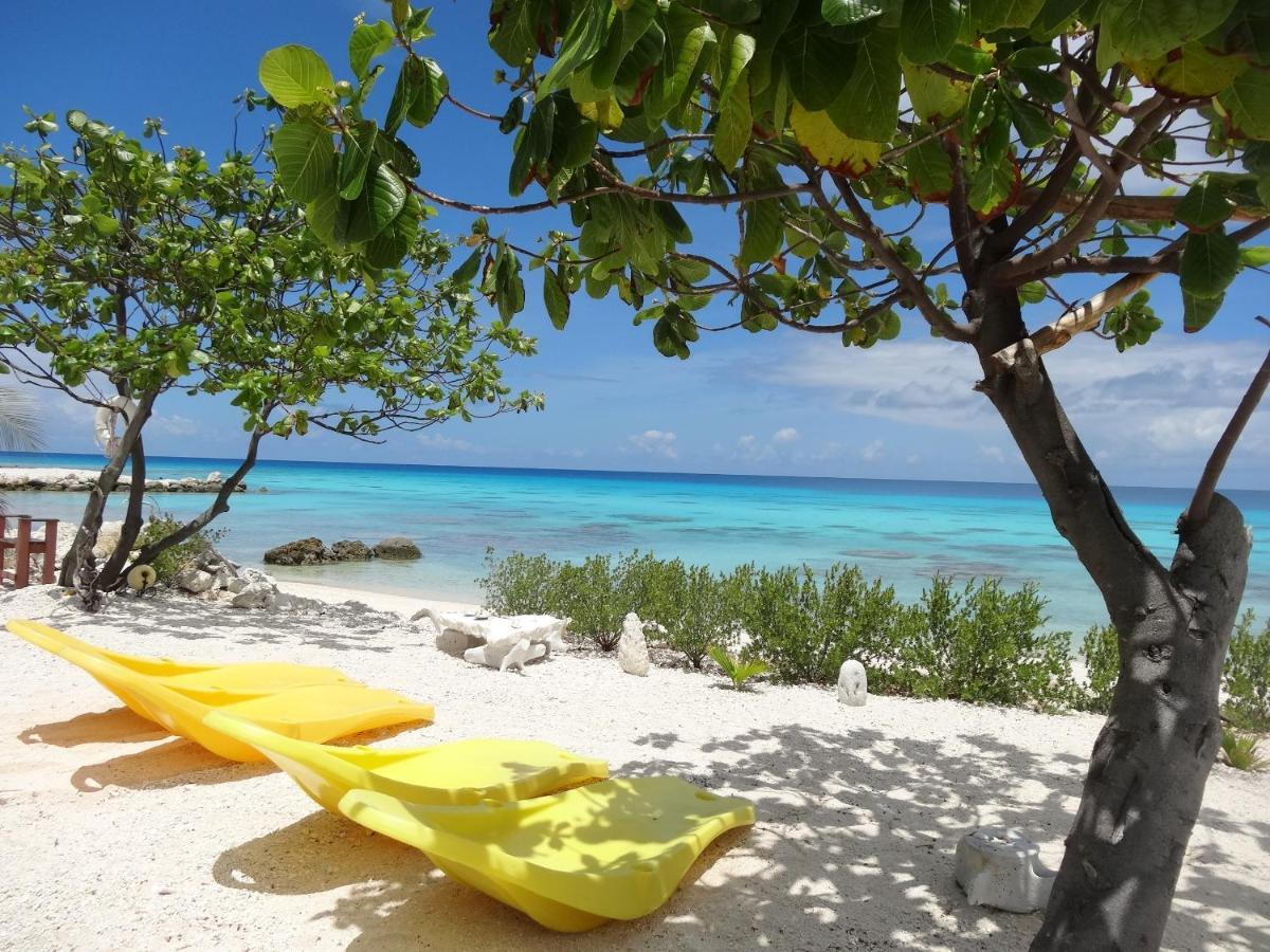 Pension Tiputa Lodge Rangiroa Exteriör bild