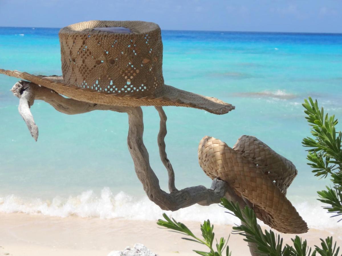 Pension Tiputa Lodge Rangiroa Exteriör bild